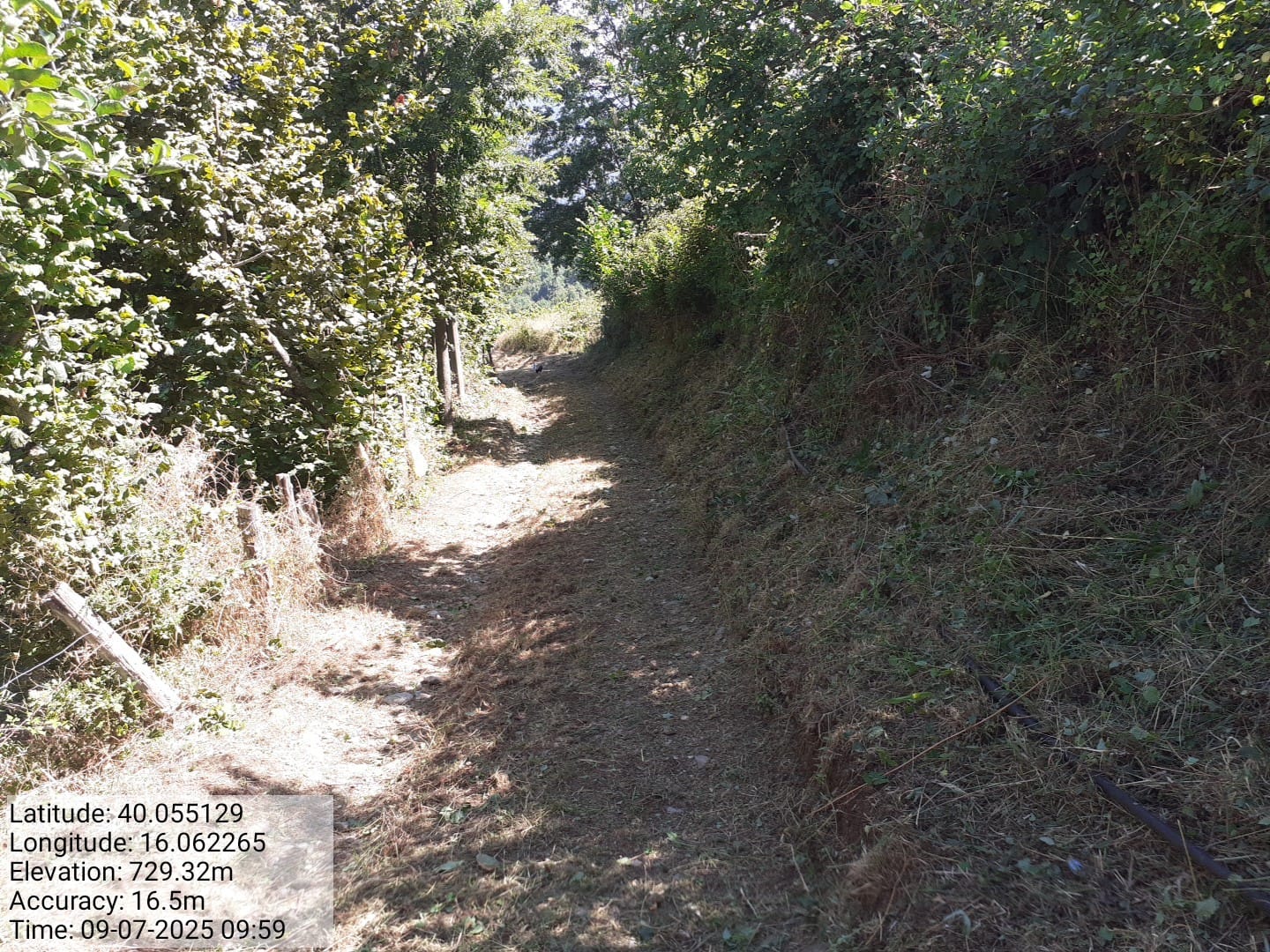 Galleria Fotografica Immagine