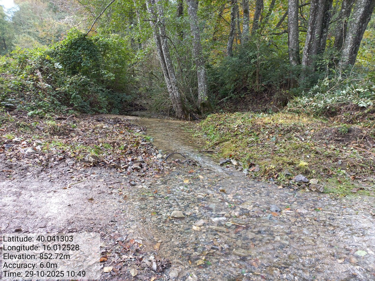 Galleria Fotografica Immagine