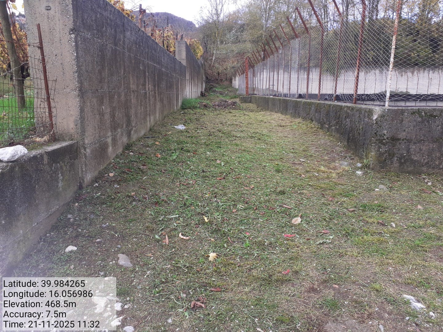 Galleria Fotografica Immagine