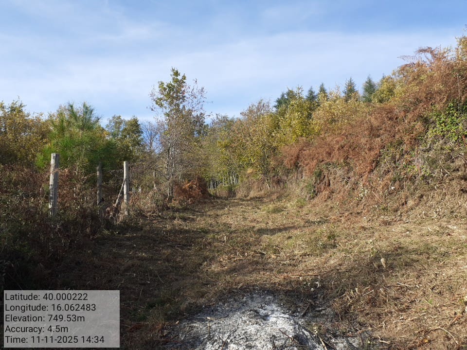 Galleria Fotografica Immagine