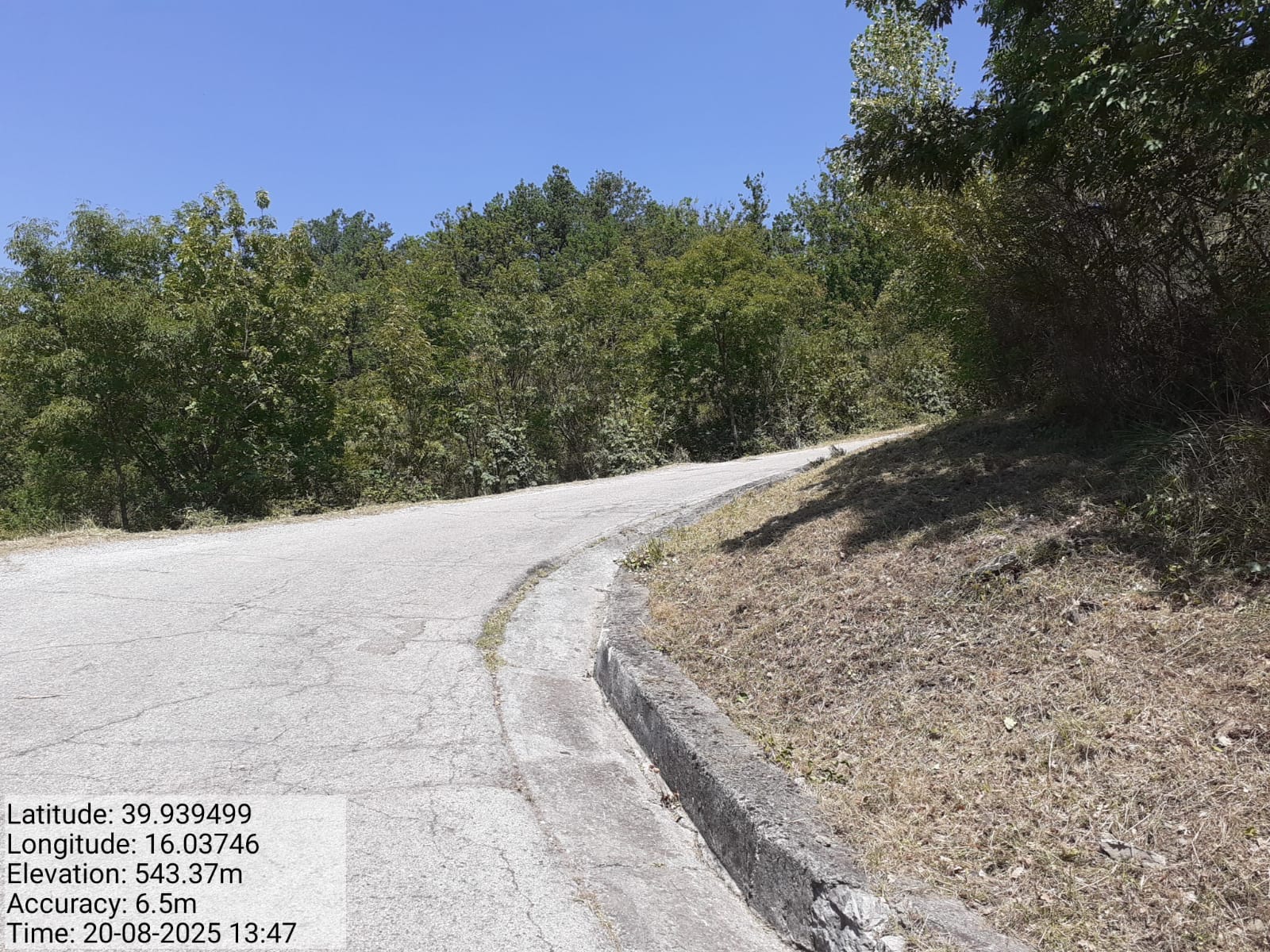 Galleria Fotografica Immagine