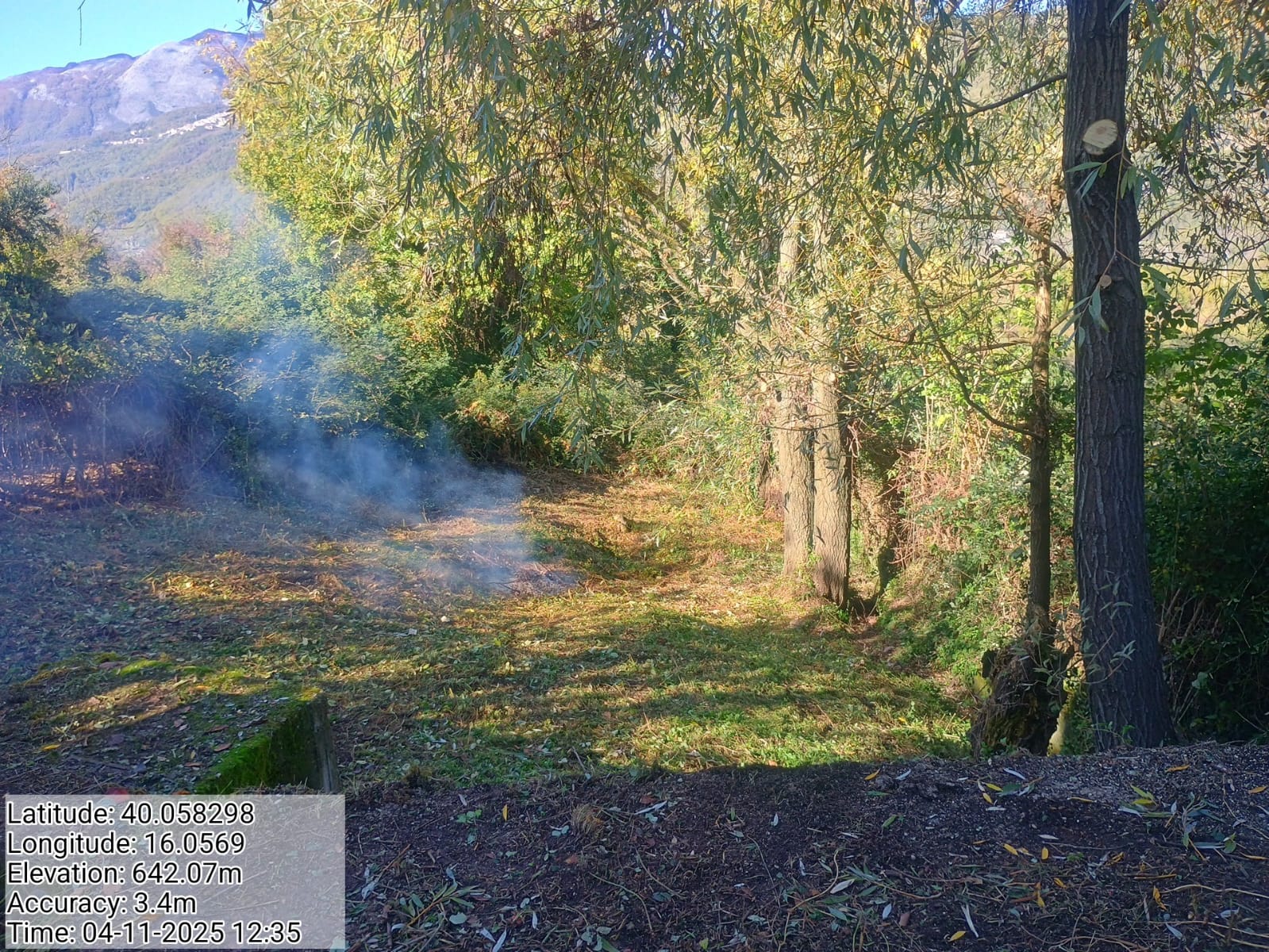 Galleria Fotografica Immagine