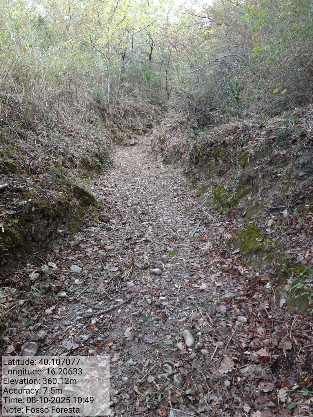 Galleria Fotografica Immagine