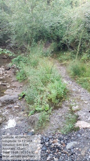 Galleria Fotografica Immagine