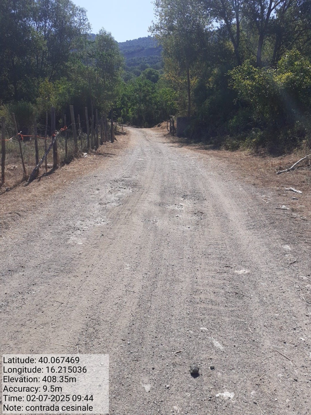 Galleria Fotografica Immagine