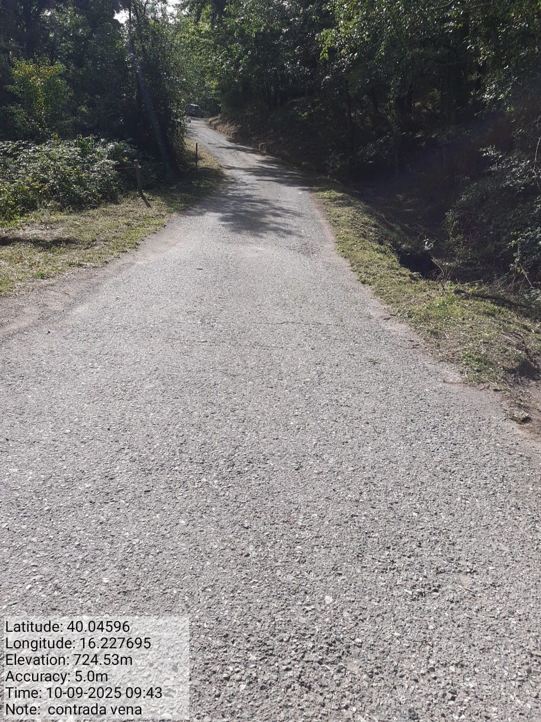 Galleria Fotografica Immagine