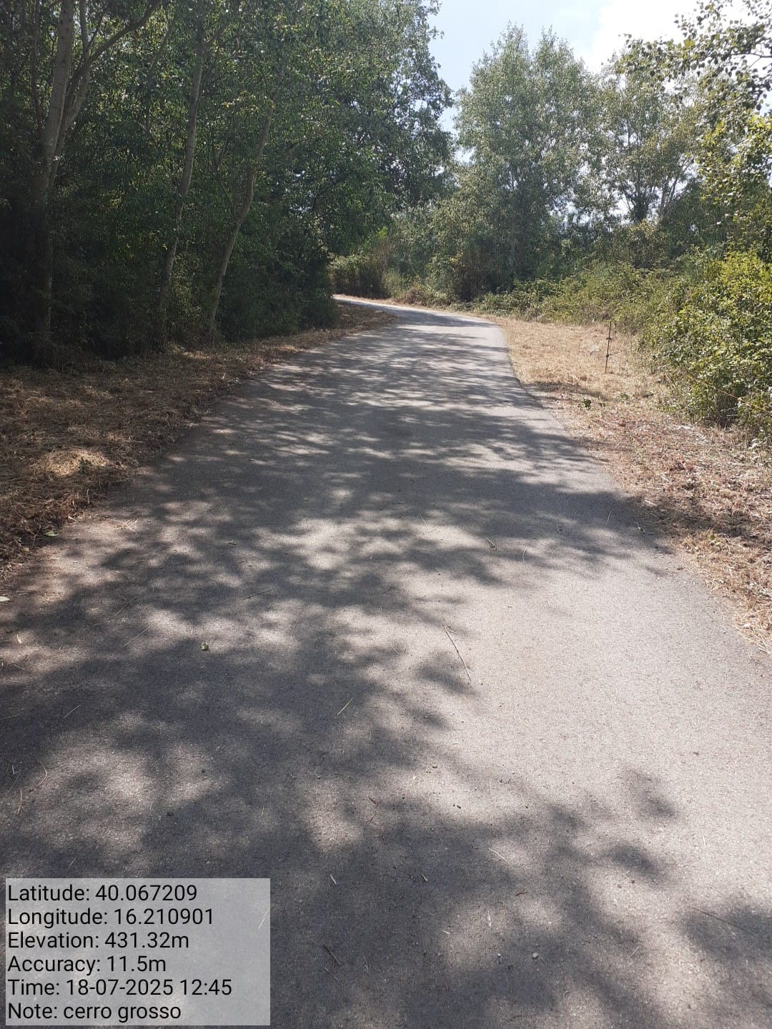 Galleria Fotografica Immagine