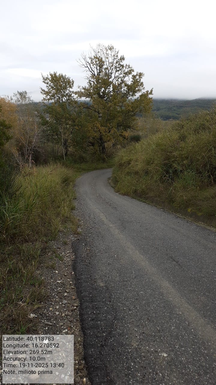 Galleria Fotografica Immagine