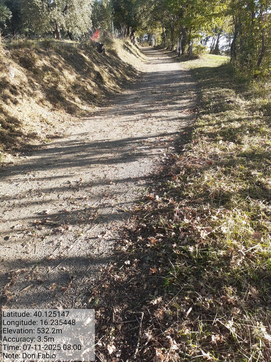 Galleria Fotografica Immagine