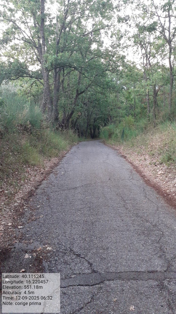 Galleria Fotografica Immagine