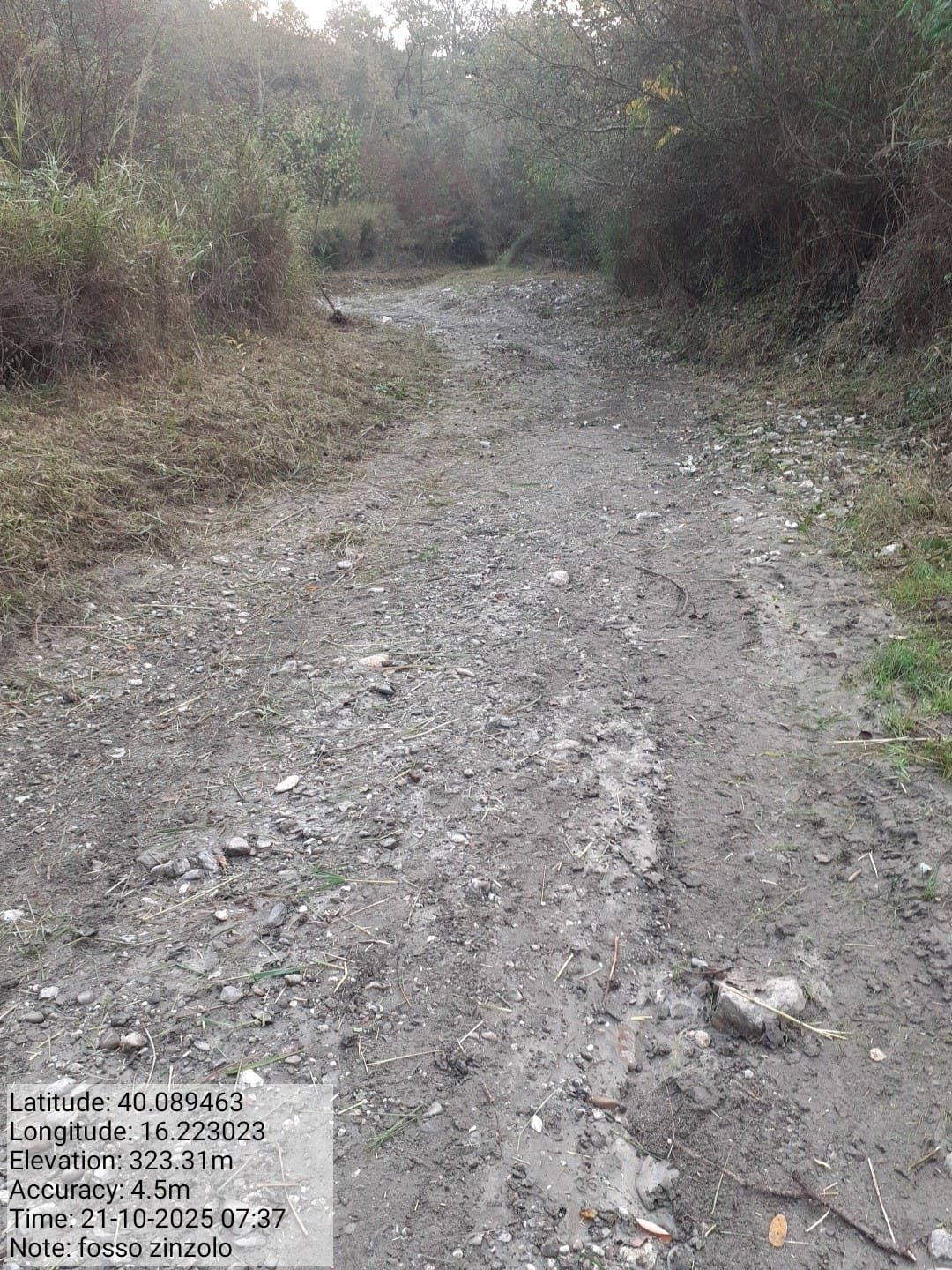 Galleria Fotografica Immagine