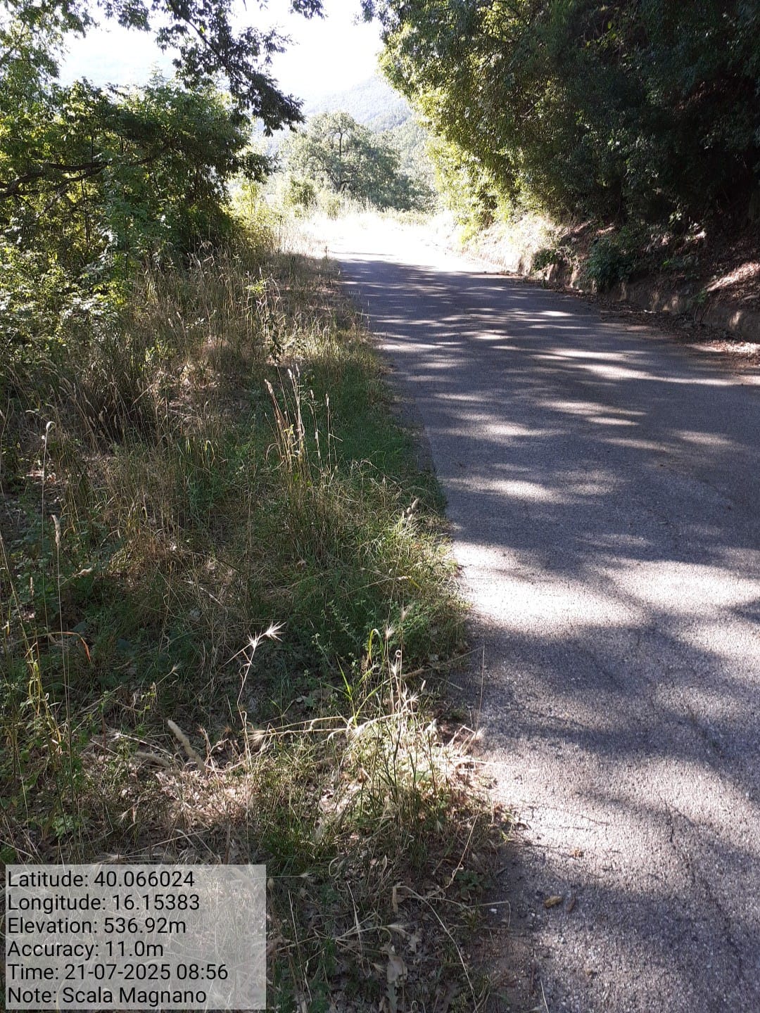 Galleria Fotografica Immagine