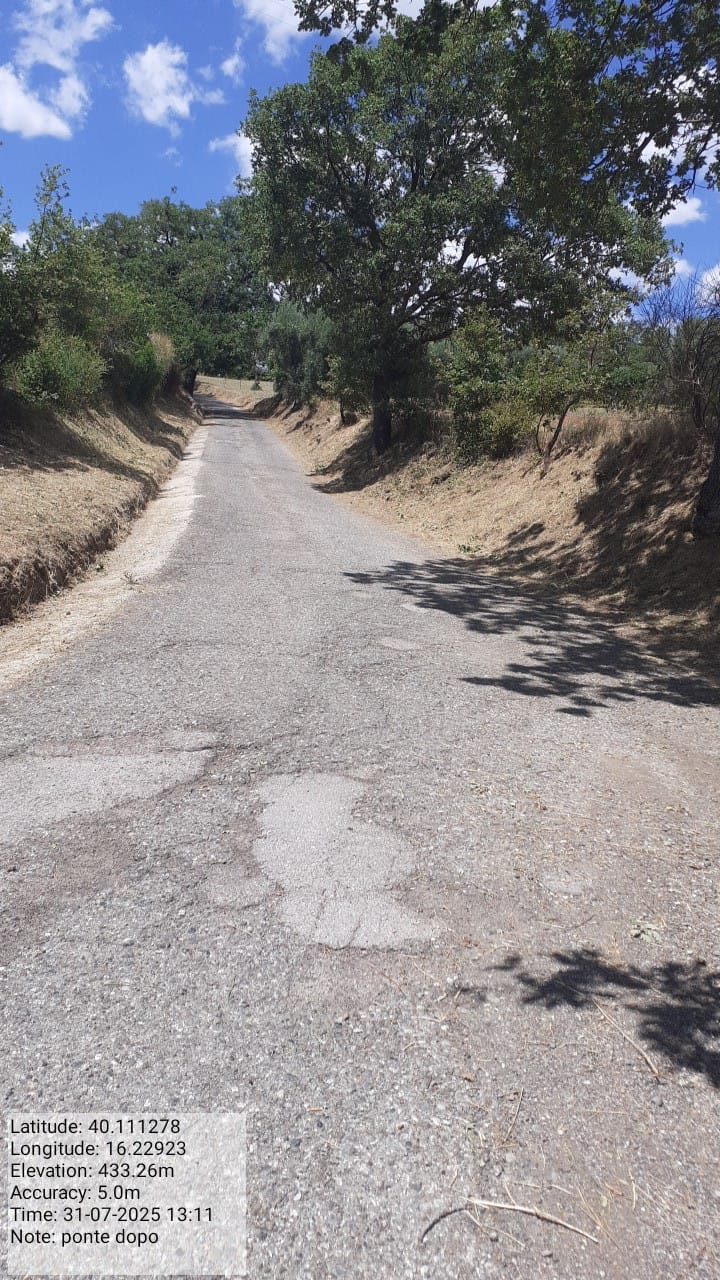 Galleria Fotografica Immagine