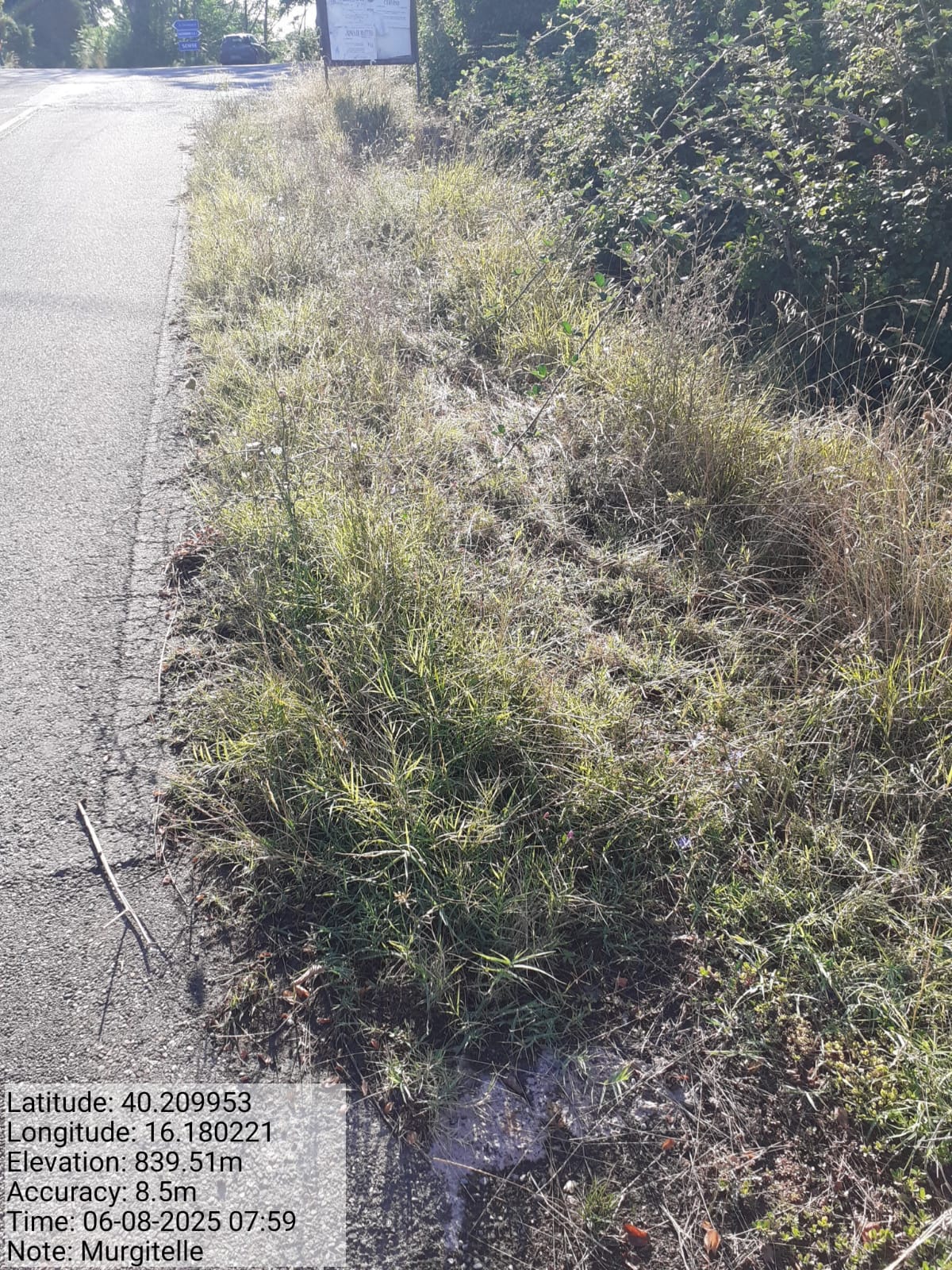 Galleria Fotografica Immagine