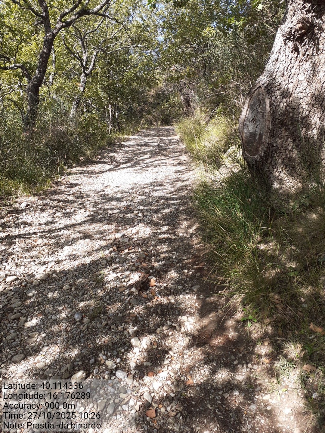 Galleria Fotografica Immagine