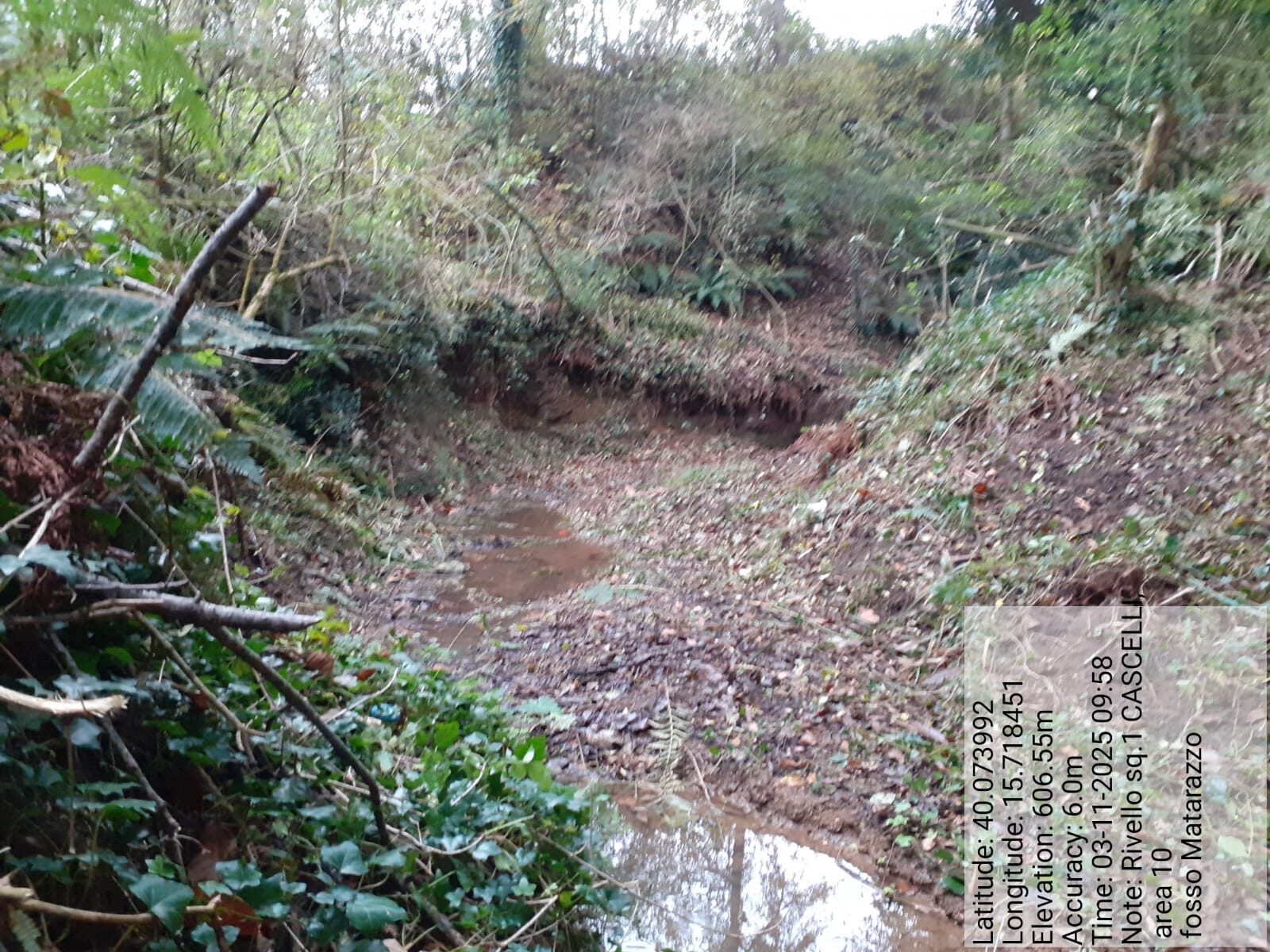 Galleria Fotografica Immagine