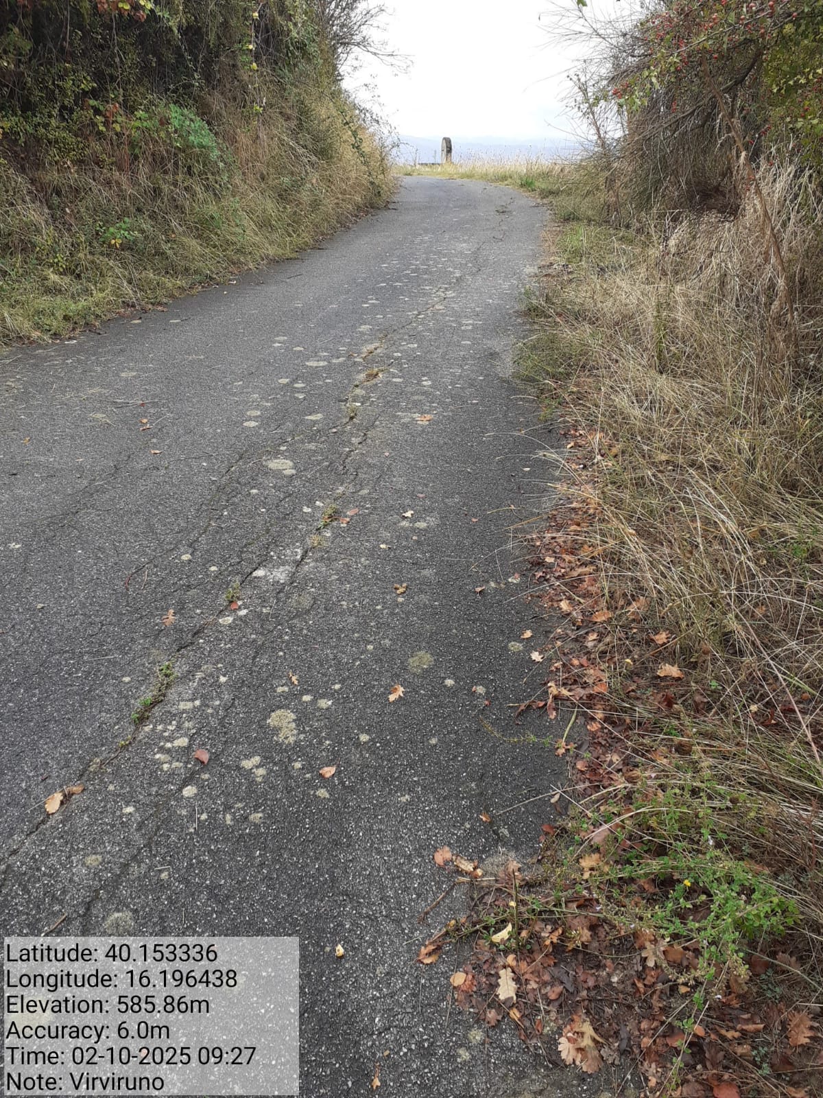 Galleria Fotografica Immagine