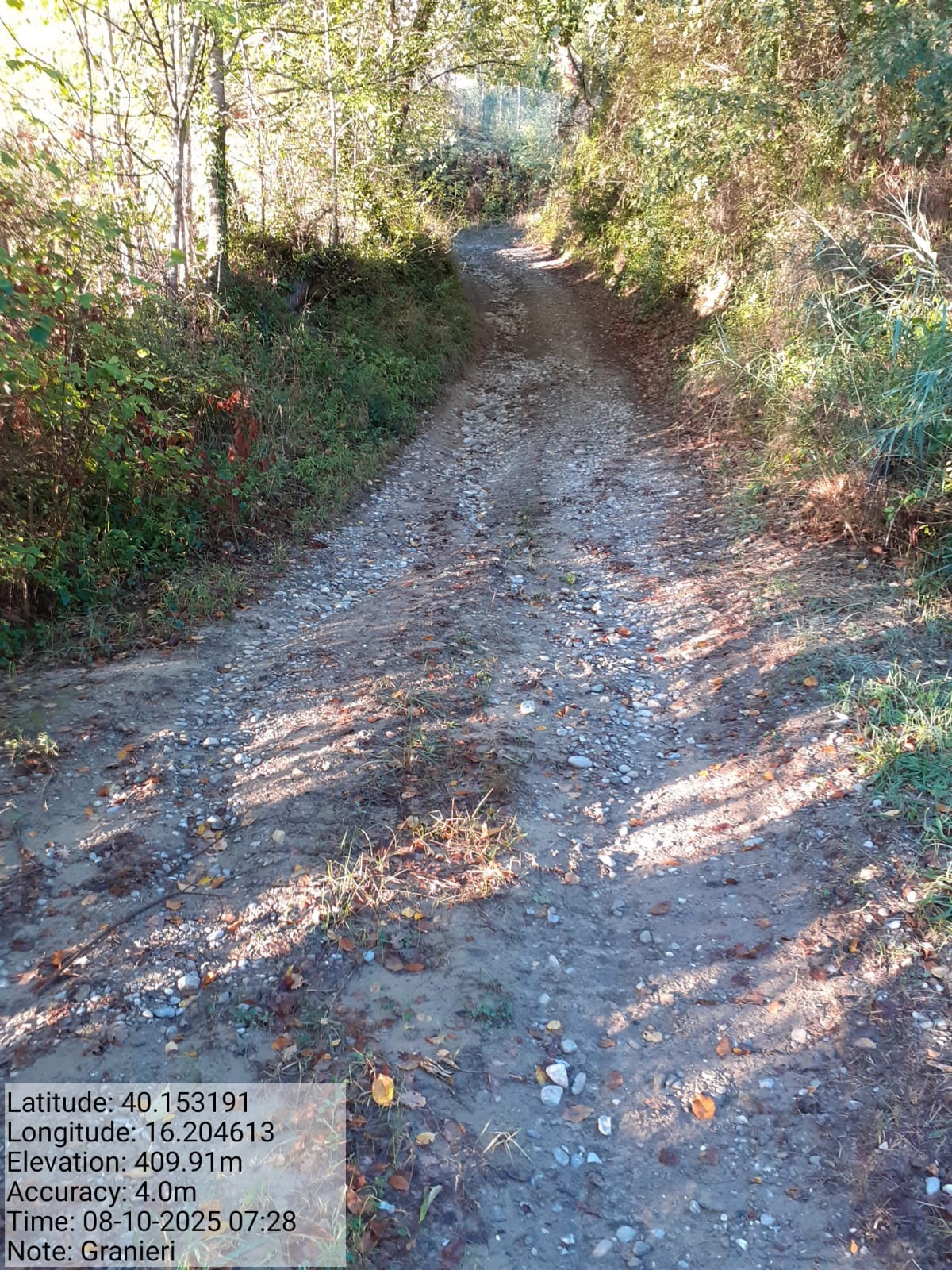 Galleria Fotografica Immagine