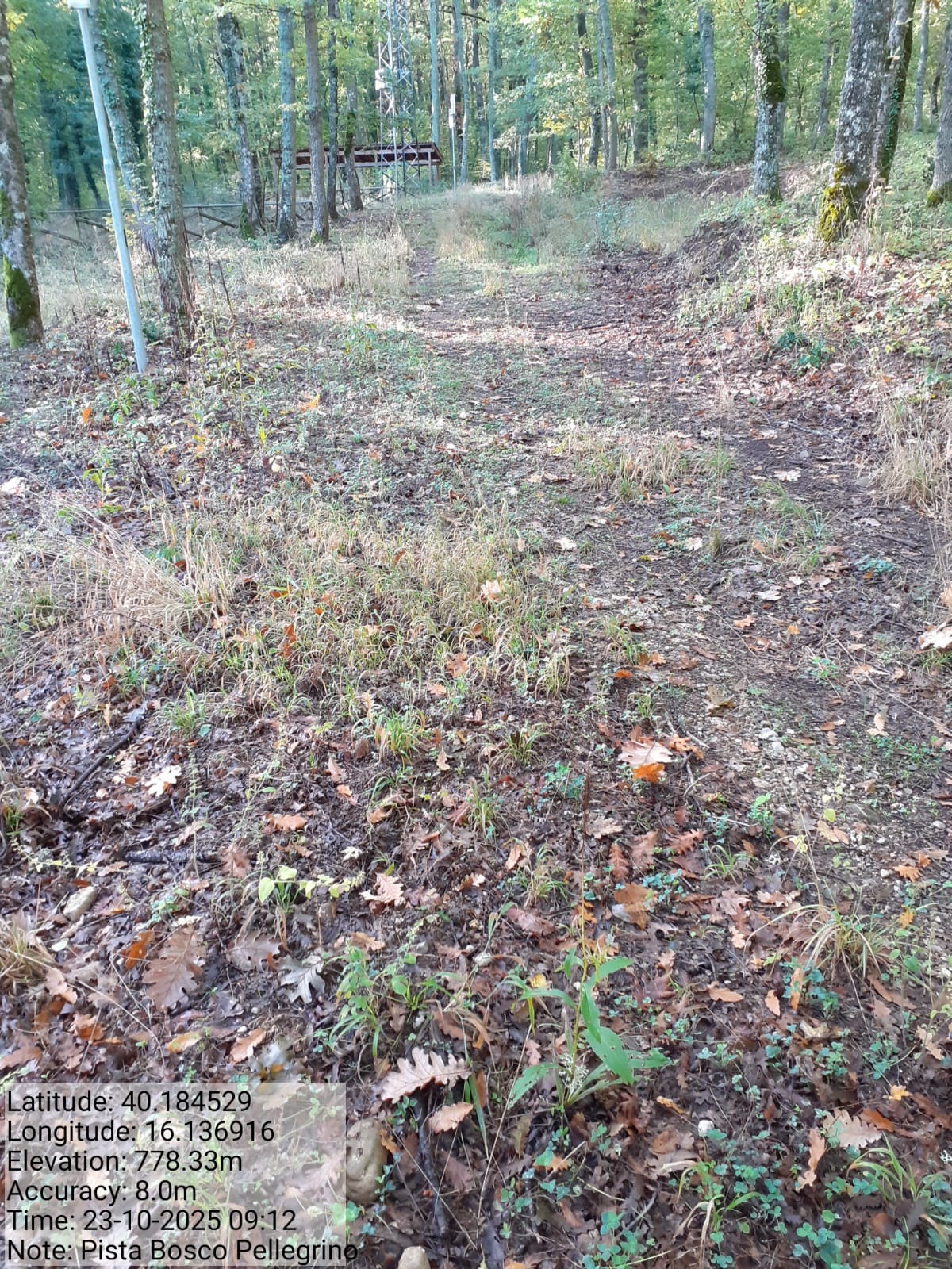 Galleria Fotografica Immagine