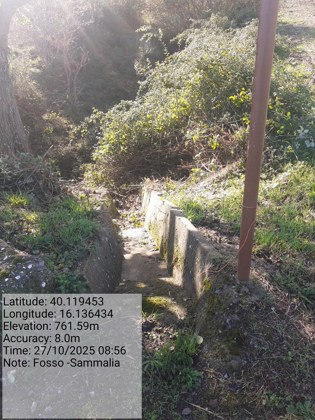 Galleria Fotografica Immagine