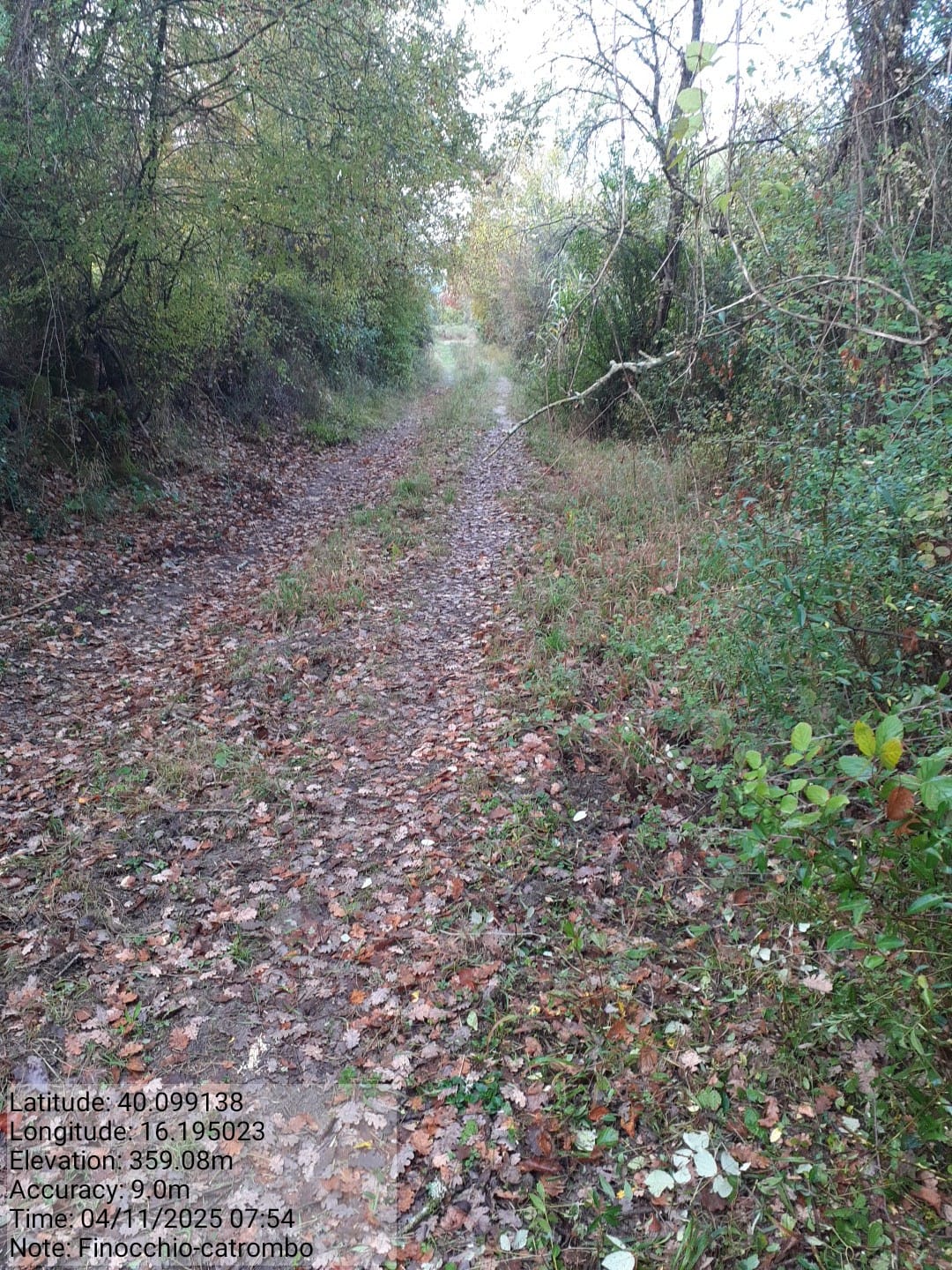 Galleria Fotografica Immagine