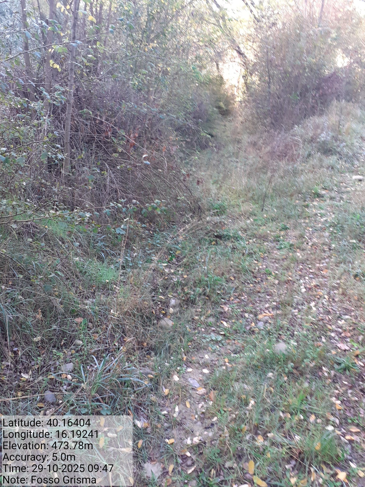 Galleria Fotografica Immagine