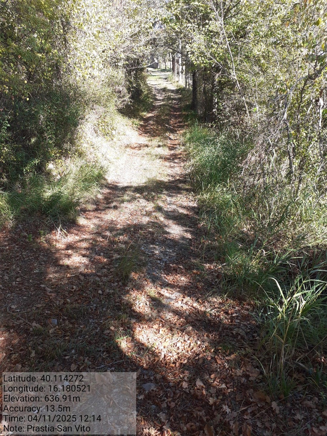 Galleria Fotografica Immagine