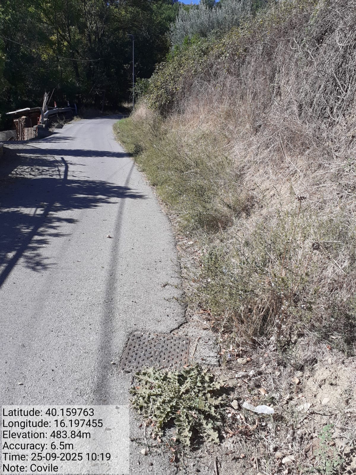 Galleria Fotografica Immagine