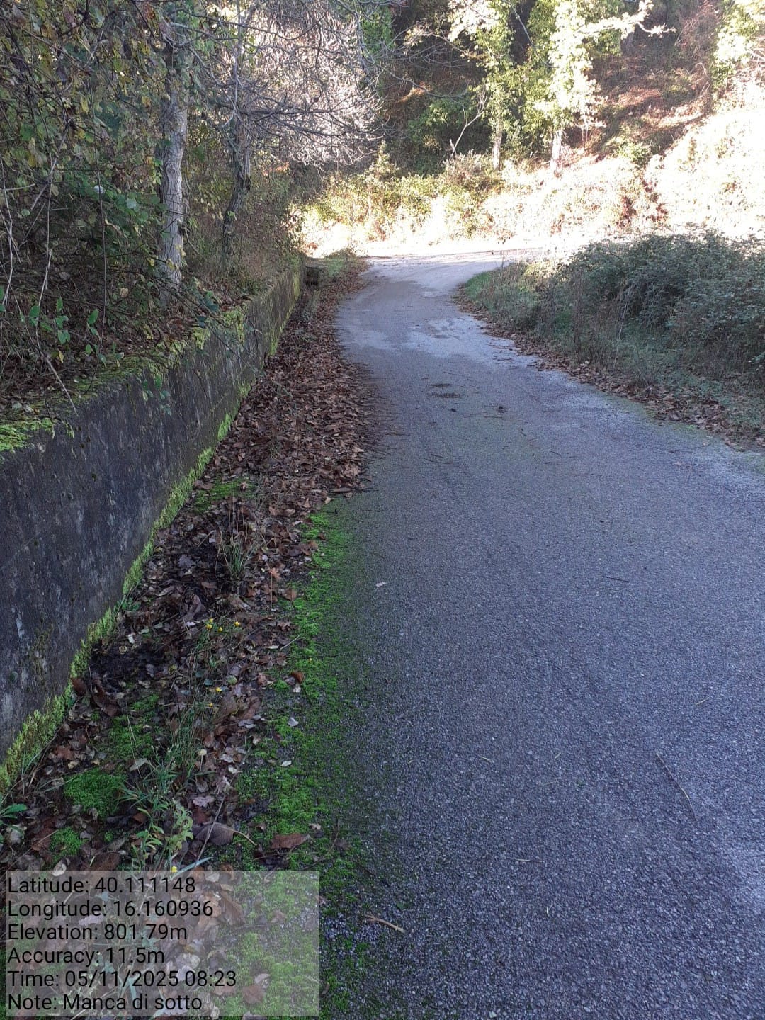 Galleria Fotografica Immagine