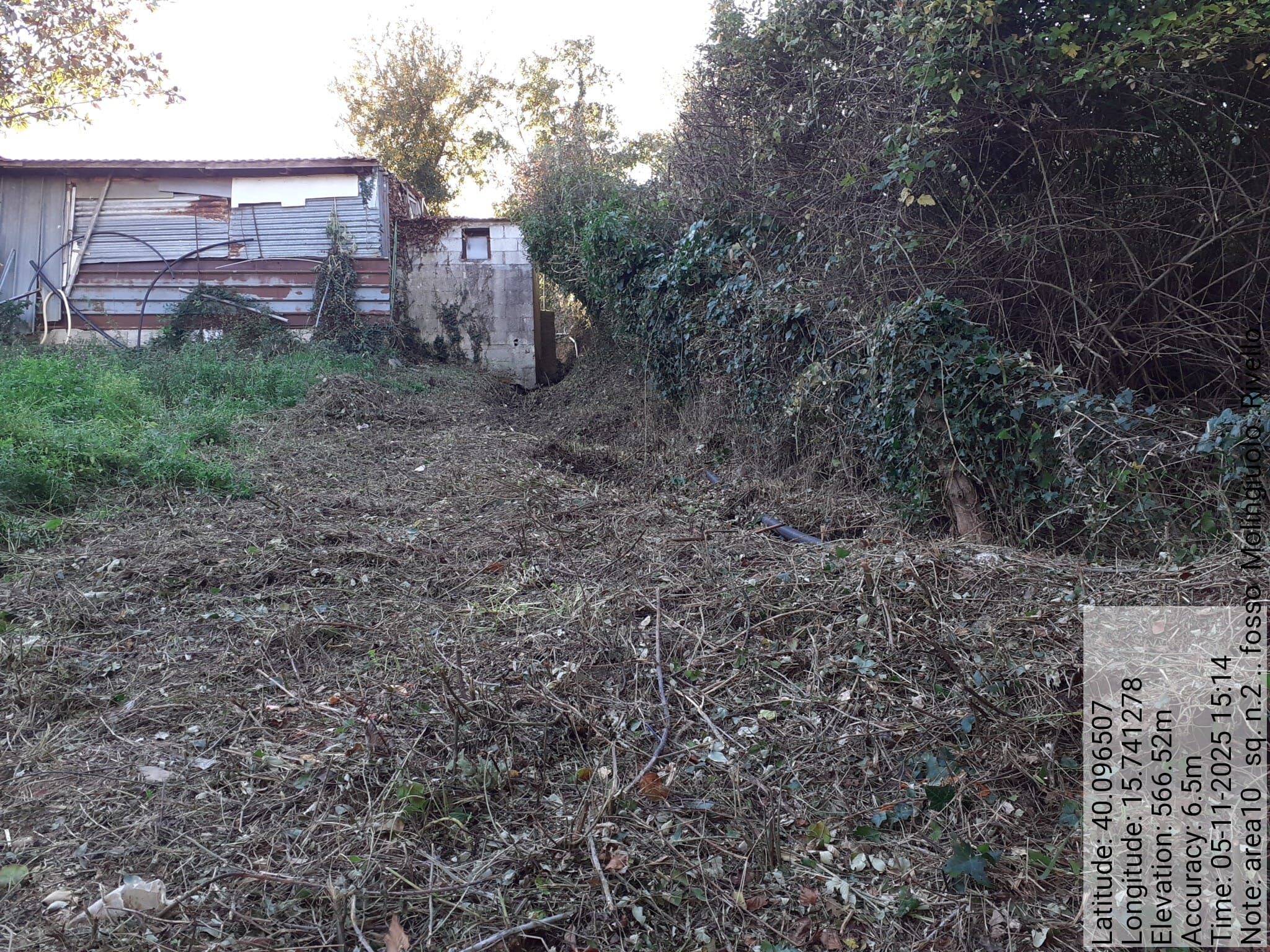 Galleria Fotografica Immagine