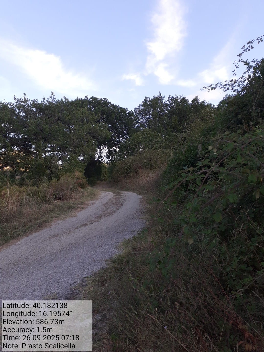 Galleria Fotografica Immagine