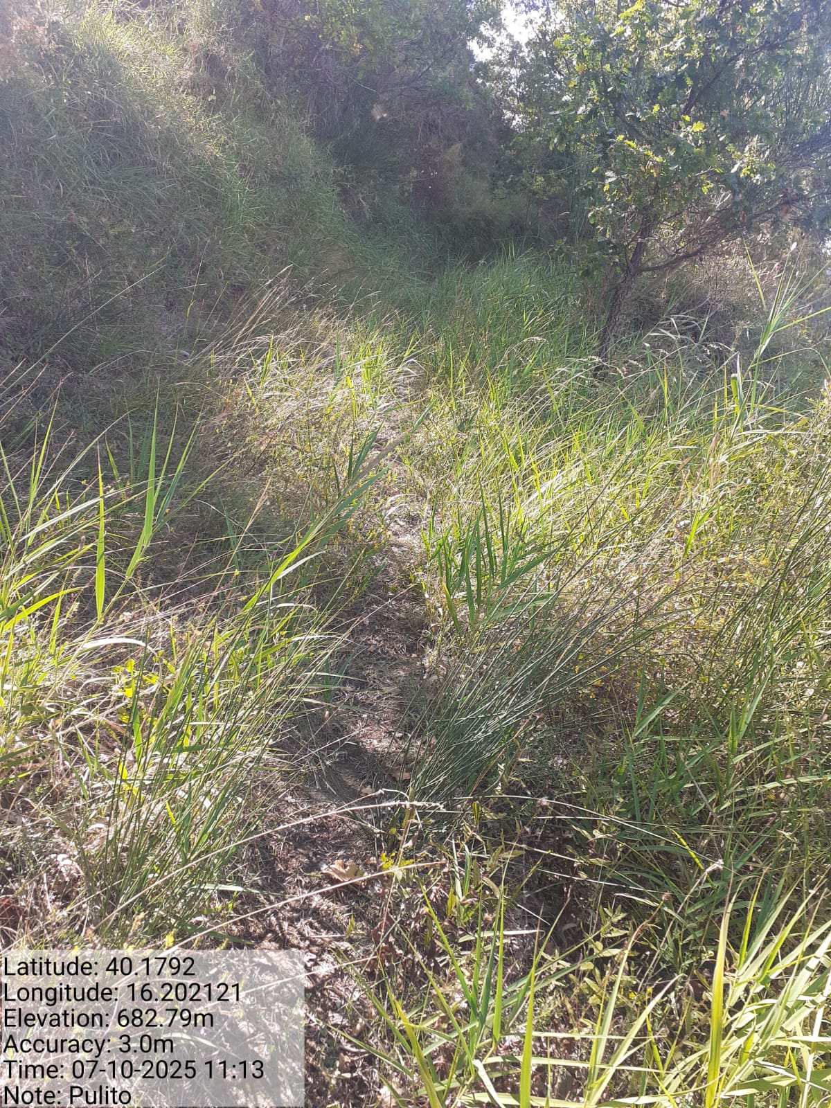 Galleria Fotografica Immagine