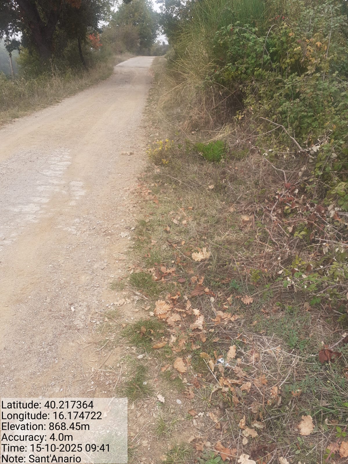 Galleria Fotografica Immagine