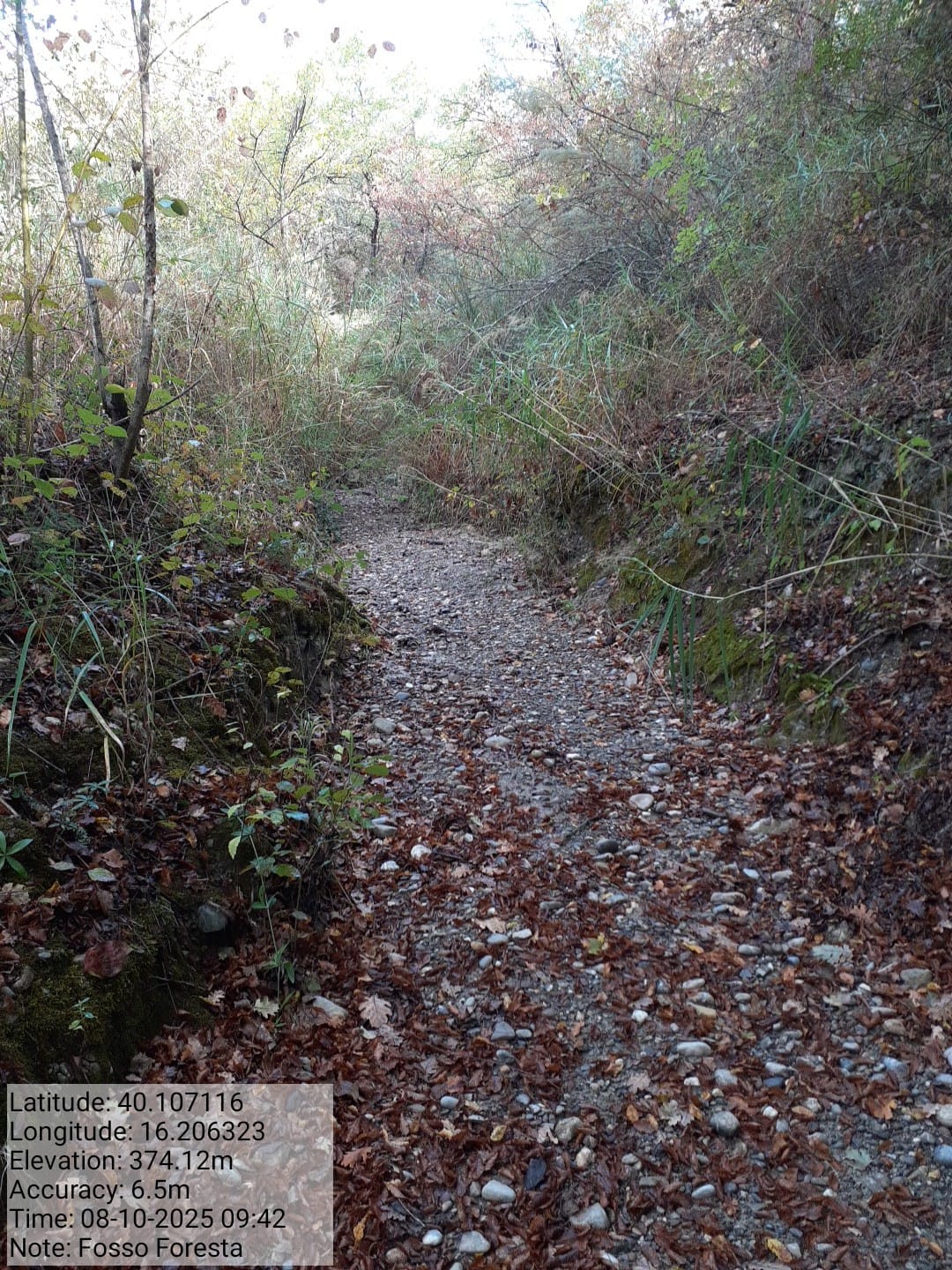 Galleria Fotografica Immagine