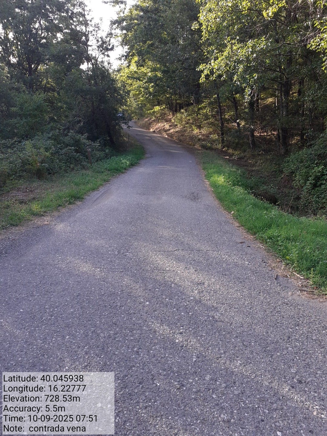 Galleria Fotografica Immagine