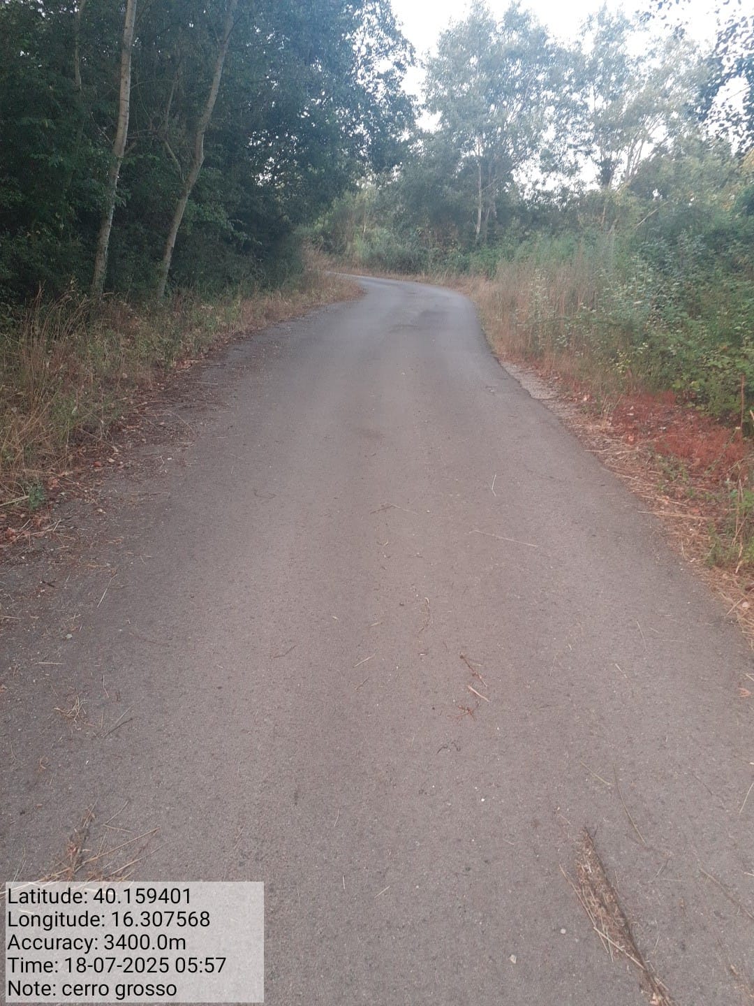 Galleria Fotografica Immagine