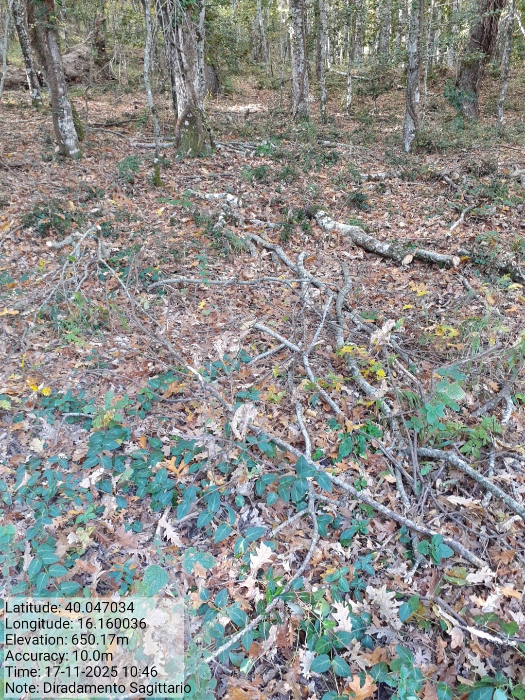 Galleria Fotografica Immagine