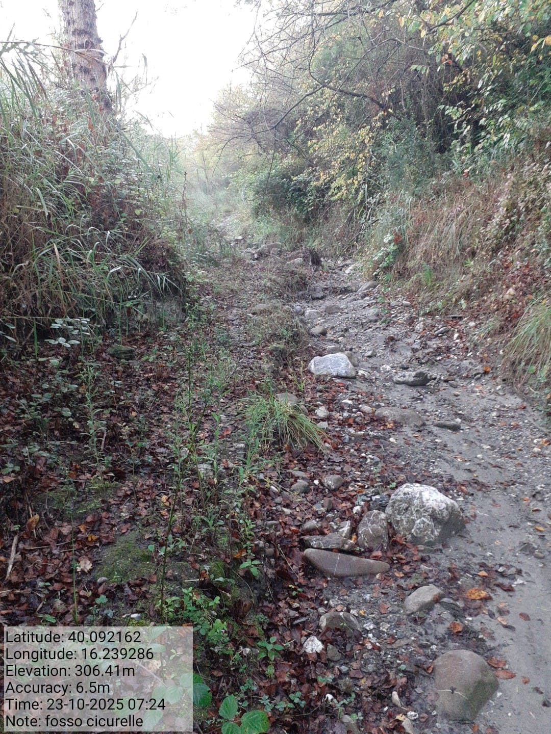 Galleria Fotografica Immagine