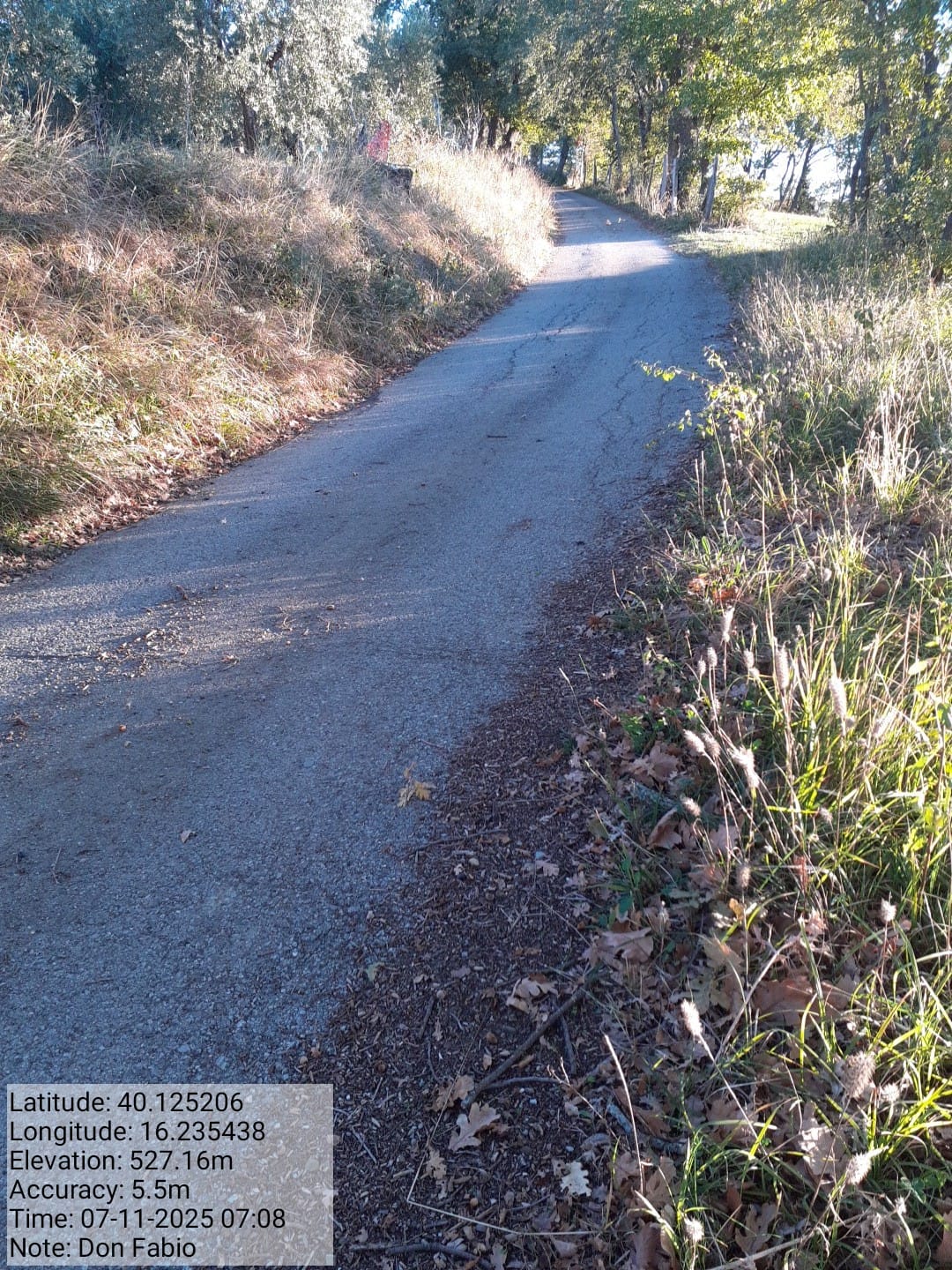 Galleria Fotografica Immagine