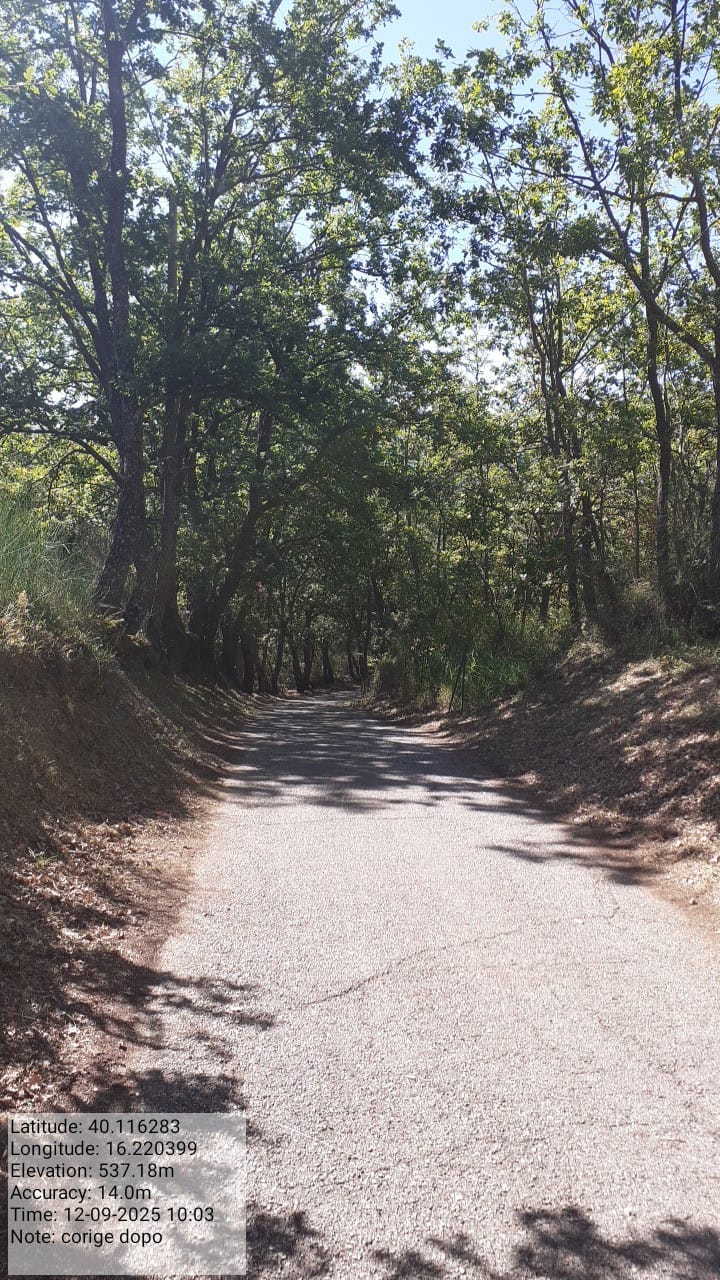 Galleria Fotografica Immagine