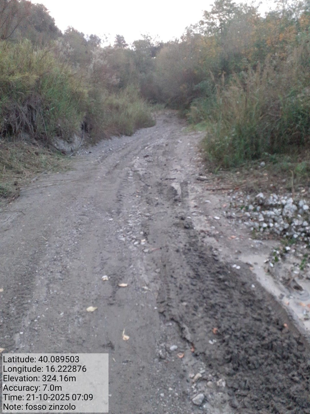 Galleria Fotografica Immagine