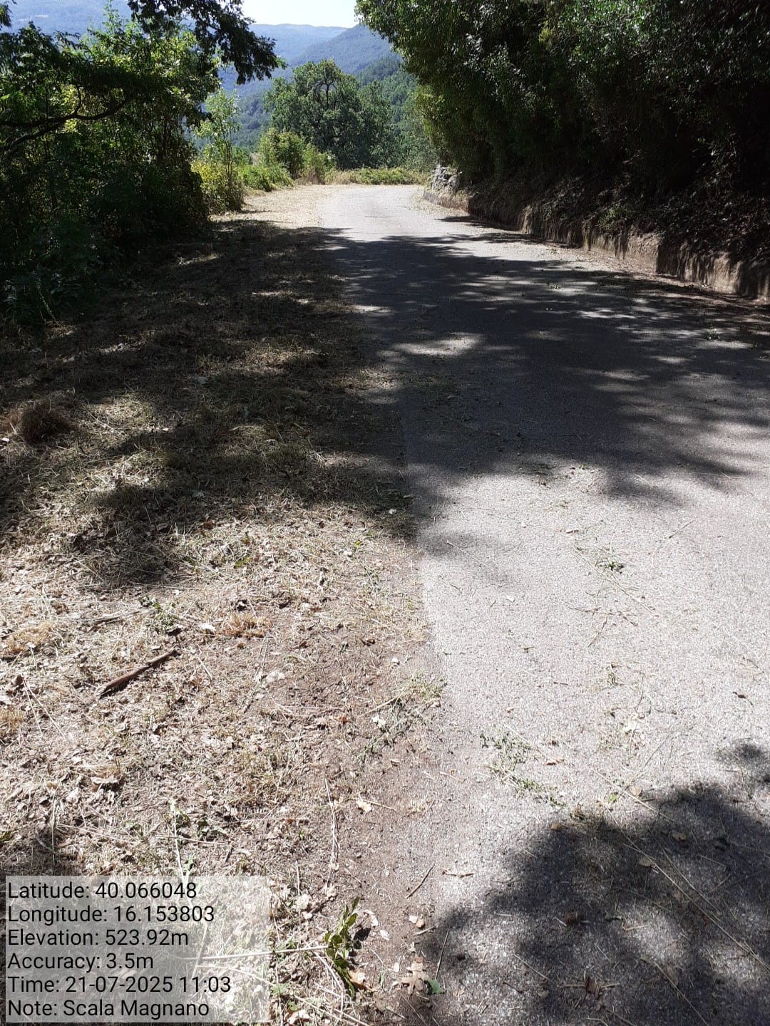 Galleria Fotografica Immagine