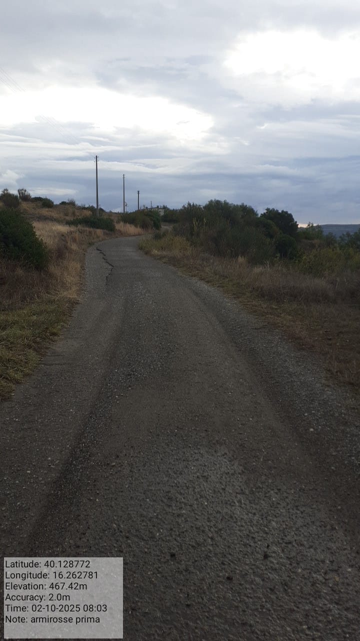 Galleria Fotografica Immagine