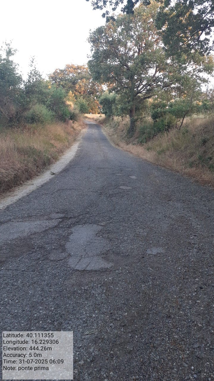 Galleria Fotografica Immagine