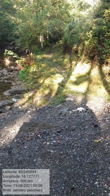 Galleria Fotografica Immagine