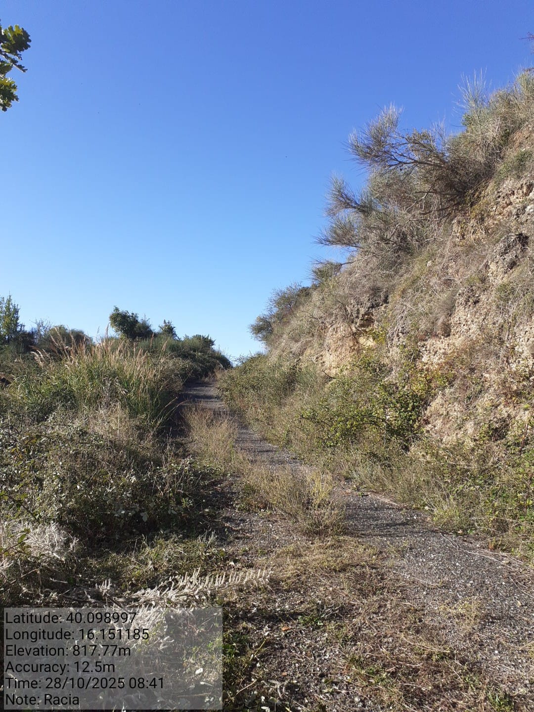 Galleria Fotografica Immagine