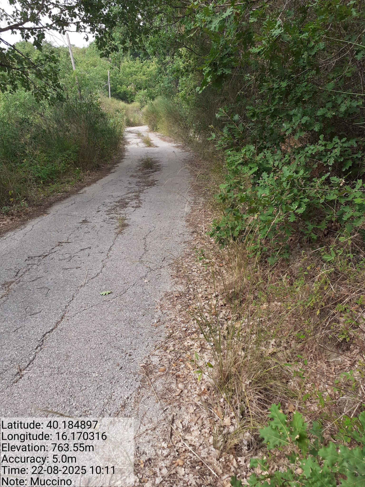 Galleria Fotografica Immagine