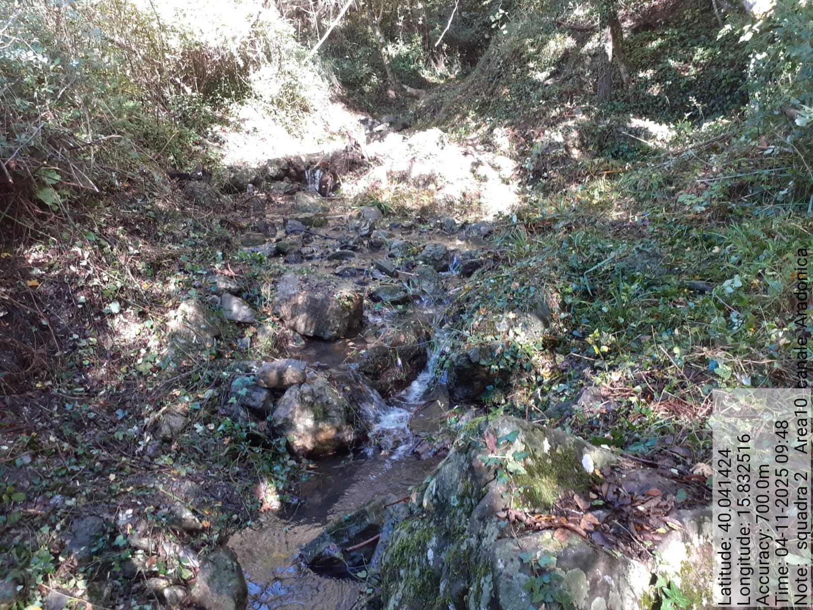 Galleria Fotografica Immagine