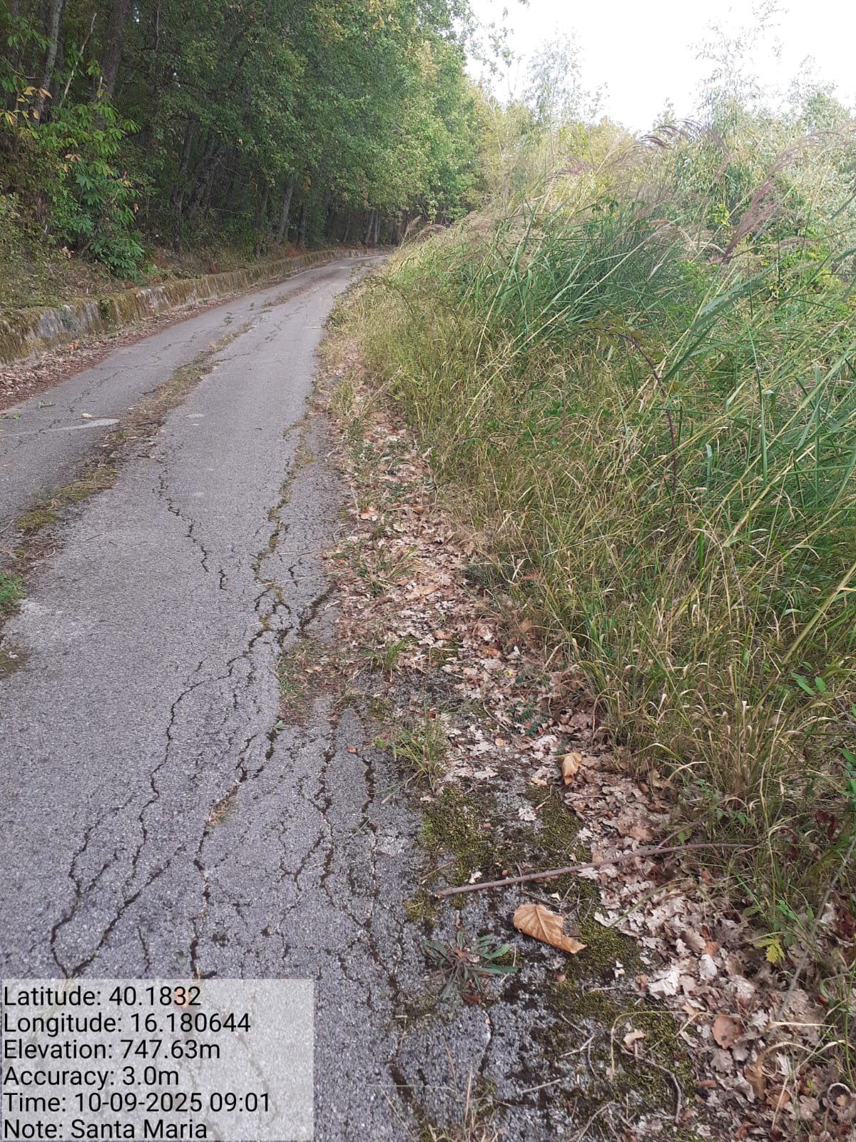 Galleria Fotografica Immagine