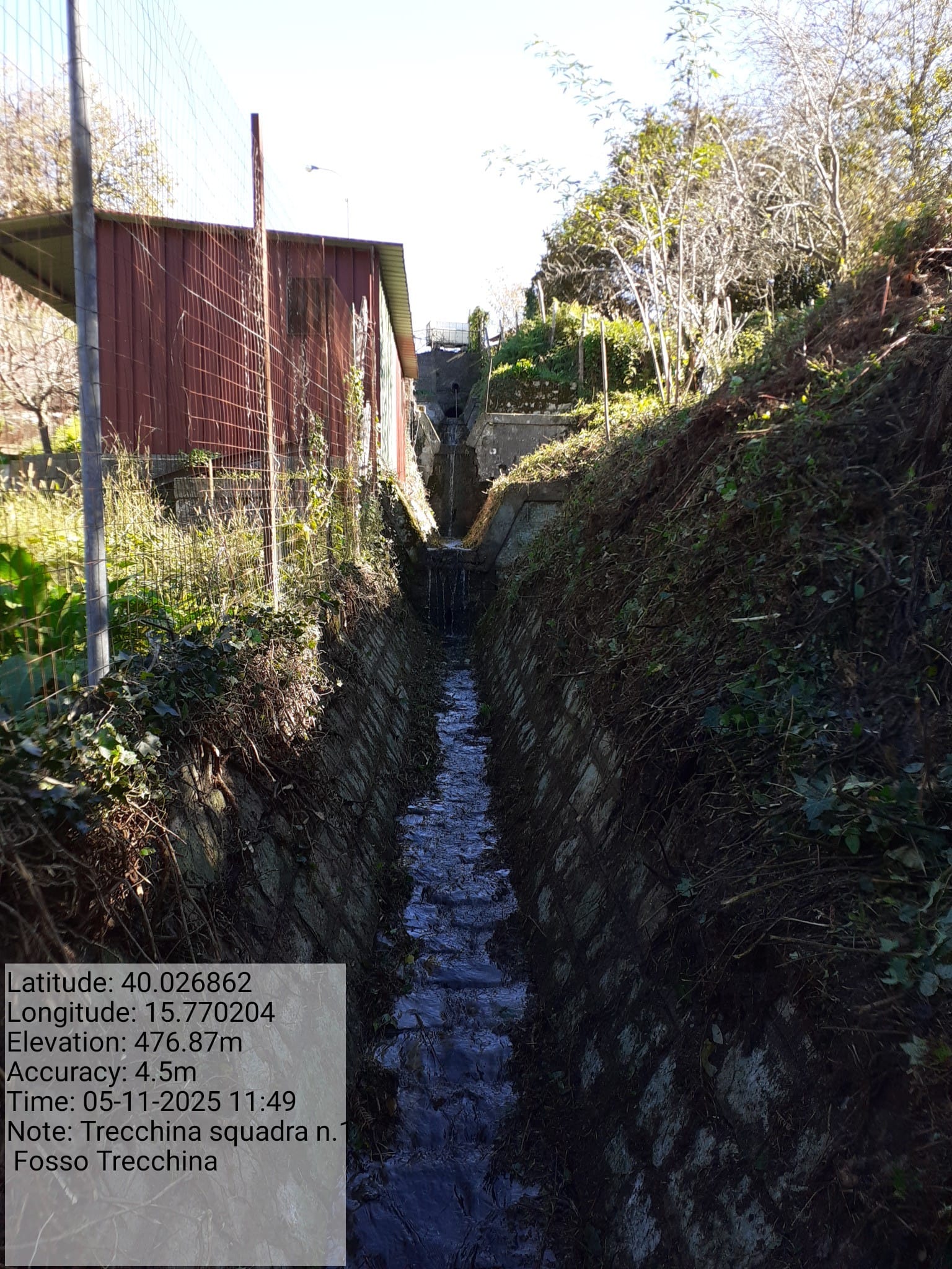 Galleria Fotografica Immagine